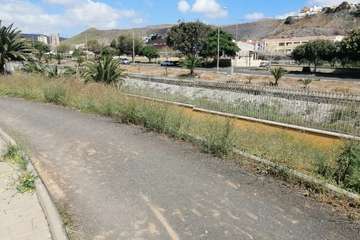 Abandono del Parque de las Mil Palmeras del Valle de Jinámar/TA.